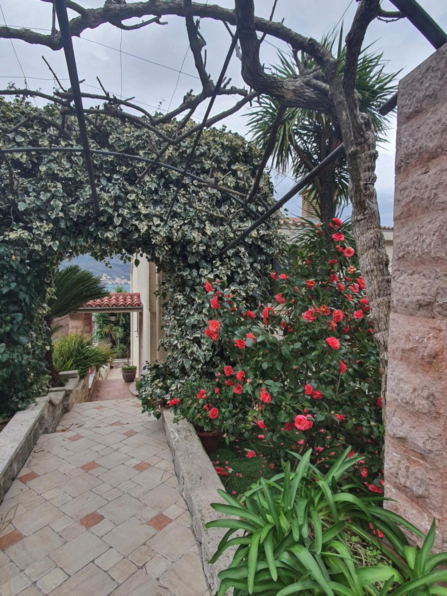 קוטור La Grande Apartments מראה חיצוני תמונה